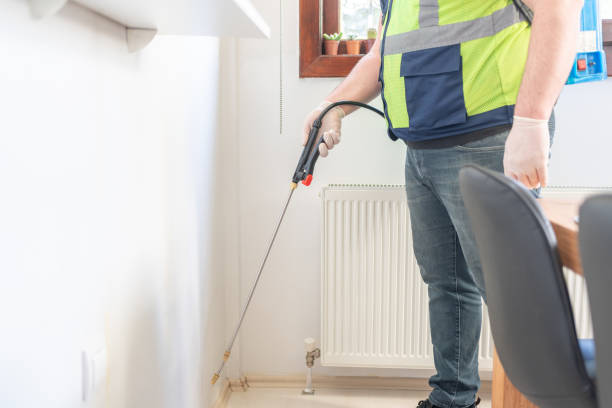 Best Pest Prevention Services  in Rodeo, CA